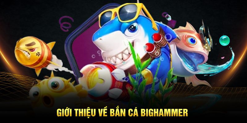 Giới thiệu về bắn cá Bighammer