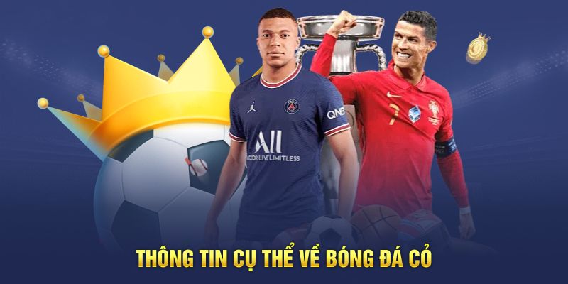 Thông tin cụ thể về bóng đá cỏ