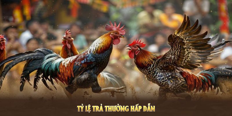 Tỷ lệ trả thưởng hấp dẫn